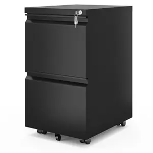 39cm Wide 2 -Drawer Mobile Steel File Cabinet Black