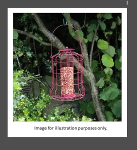 Nut Bird Feeder With Squirrel Guard Burgundy