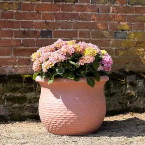 Primrose Rib Textured Fibrecotta Tall Round Planter In Dusty Pink 34cm