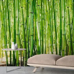 Grandeco Bamboo 3 lane repeatable Textured Mural, 2.8 x 1.59m