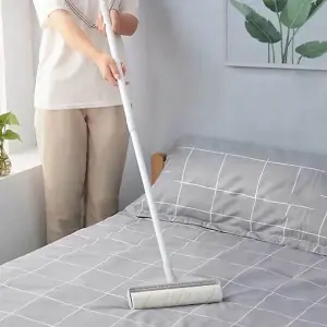 Easylife  Telescopic Sticky Roller + FREE Hand Roller