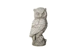 Cute Stone Owl garden ornament