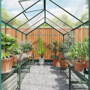 Rosette Hobby Aluminium Polycarbonate Greenhouse - 6x10