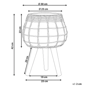 Elevated Plant Pot DARMERA Ceramic Light Brown