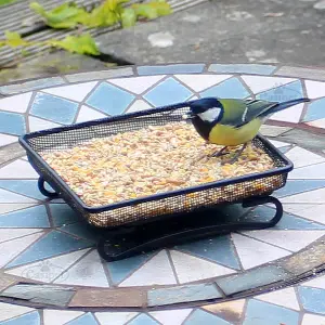 Bird Feeder raised metal micromesh wire Tray