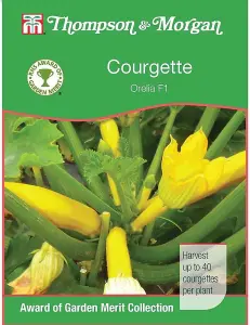 Courgette Orelia F1 1 Seed Packet (6 Seeds)