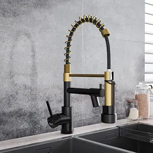 Gold Stainless Steel Side Lever Kitchen Spring Neck Faucet Dual Spouts Kitchen Tap Mixer Tap