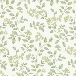 Grandeco Jasmine Leaf Trail Textured Wallpaper, Sage Green