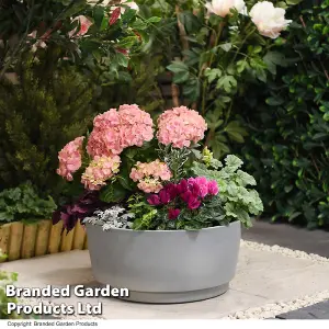 Caesar Concrete Effect Bowl Planter 34.5cm Diameter for Garden Outdoor Patio Grey Small (x1)