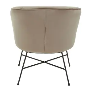 Interiors by Premier Mink Velvet Chair, Comfy Mink Outdoor Metal Legs Velvet Chair, Effortless Cleaning Velvet Chair