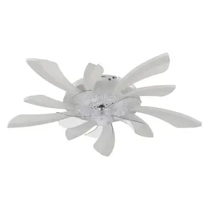 Annuska 78cm Ceiling Fan with LED Lights White