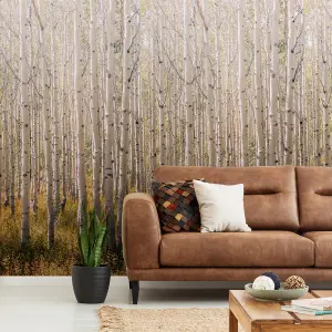 Grandeco Birch 3 lane repeatable Textured Mural, 2.8 x 1.59m