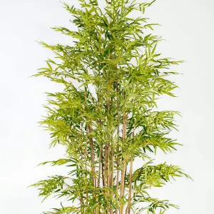 Blooming Artificial - 210cm / 7ft Faux Japanese Bamboo