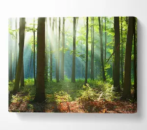 Woodland Blues And Greens Canvas Print Wall Art - Medium 20 x 32 Inches