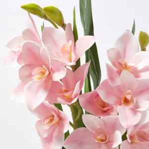 Homescapes Pink Orchid 58 cm Cymbidium in Cement Pot Extra Large, 2 Stems