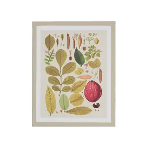 Arthouse Botanical Neutral Tones Mixed size Canvas art, Set of 6