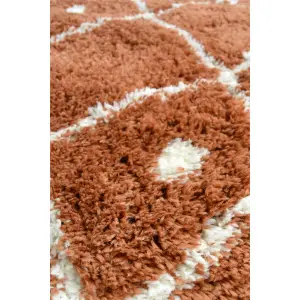 Snug Collection Nomadic Shaggy Rugs  I044A