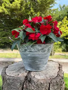 Galvanised Metal Flower Pot with Handles Outdoor Garden Planter Trough Floral Decoration