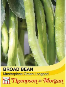 Bean (Broad) Masterpiece Green Longpod 1 Seed Packet (30 Seeds)