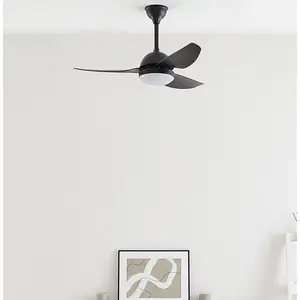 Ayverie 114cm Ceiling Fan with Light Kit Black