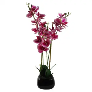 70cm Artificial Orchid Dark Pink with Black Planter