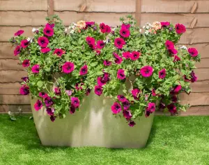 Primrose Stone Effect Trough Planter in White 75cm