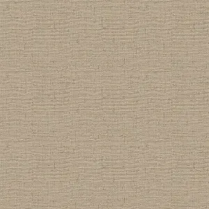 Belgravia Maya Textured Plain Beige