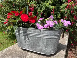 Galvanised Oval Trough with Handles Outdoor Garden Planter Flower Pot