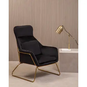 Interiors by Premier Sturdy Black Velvet Armchair, Easy Care Velvet Accent Armchair, Indoor Dining with Velvet Bedroom chair