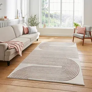 Grey Rose Abstract Modern Striped Rug Easy to clean Dining Room-120cm X 170cm