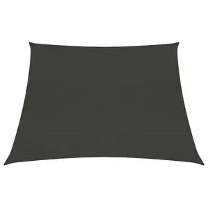 Berkfield Sunshade Sail 160 g/m2 Anthracite 4/5x3 m HDPE