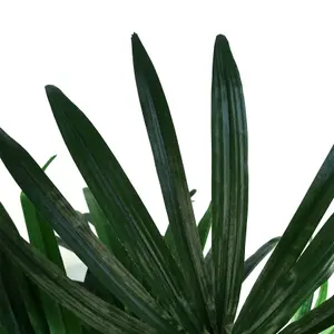 Raphis Palm Artificial Tree 100cm - Realistic plant by Botanik