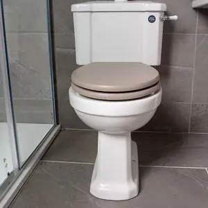 Violet Traditional Victorian Design Close Coupled Comfort Height Toilet