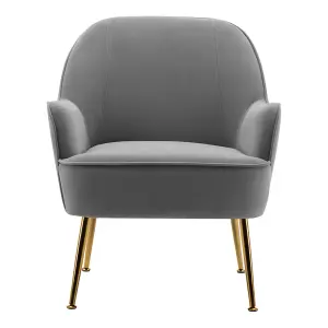 Grey Velvet Upholstered Armchair with Gold-Plated Feet for Living Room 80cm H