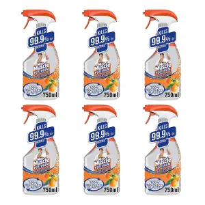 Mr Muscle Bathroom Cleaner Platinum Mandarin & Orange 750ml x 6