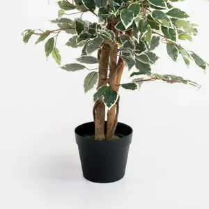 Blooming Artificial - 120cm / 4ft Variegated Faux Ficus Tree