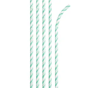 Creative Party Paper Striped Disposable Straws (Pack of 24) Mint Green/White (One Size)