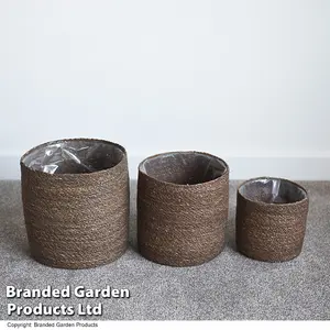 Indoor Planter Basket Natural Chia Seagrass Set of Three 25cm, 22cm & 17cm Diameter Garden Gear