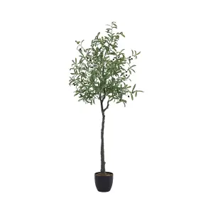 175cm H Artificial Olive Tree Decorative Plant in Planter Suitable for Office Living Room Outdoor