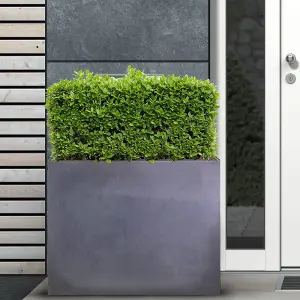 IDEALIST™ 60cm Tall Garden Trough, Dark Grey Reinforced Stone Rectangular Planter, Outdoor Large Plant Pot L70 W40 H60 cm, 124L