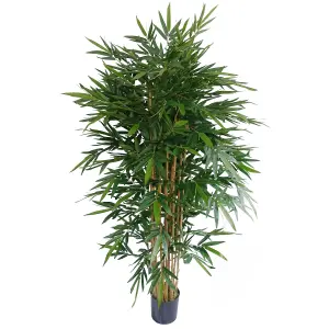 Artificial UV Protected Fake Bamboo Tree Realistic Large Screening 6ft Botanik