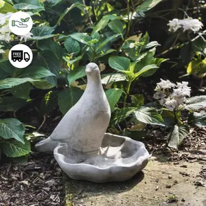 Floor level Birdbath with Perching Pigeon / Bird feeder