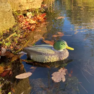 Mallard Duck Hunting Shooting Floating Decoy Pond Decoration (Set of 6)