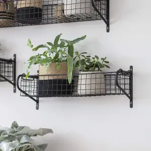 Wall Mounted Hanging Basket Shelf Powder Coated Steel Metal Rack Storage Shelving Bathroom Study H12 x W53 x D18.5cm)