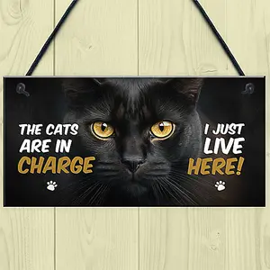 Red Ocean Funny Joke The Cats Are In Charge Cat Gifts For Cat Lovers Hanging Wall Sign Pet Gifts Pet Signs