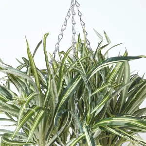 Homescapes Artificial Hanging Basket Spider Plant, 60 cm