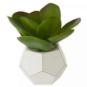 Fiori White Cement Pot Succulent Artificial Plant Foliage