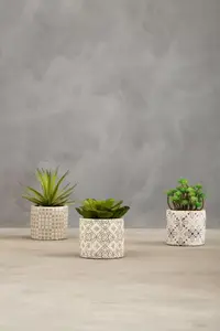 Fiori Set of 3 Succulents in Henna Ceramic Pots Artificial Plant Foliage