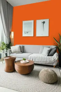 Leyland Trade Vinyl Soft Sheen Walls & Ceilings Emulsion Paint Ral Orange (RAL 2017) - 2.5L