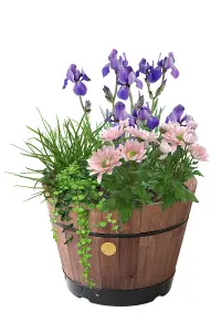 VegTrug Wooden Barrel Planter - Small Build-a-Barrel Kit Dark Brown